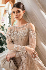 Embroidered Saree | BD-2801